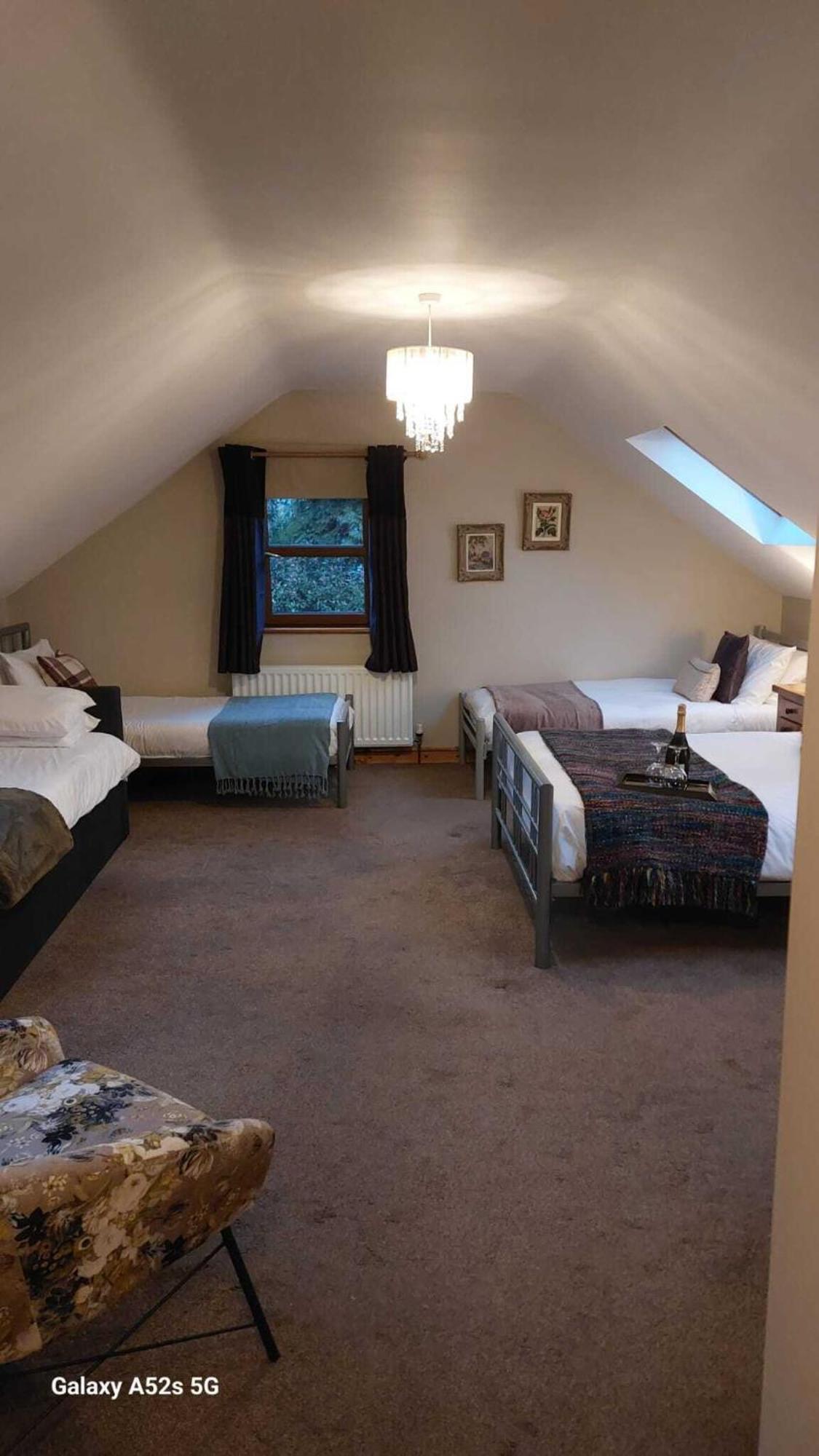 Dunhill Cottage B&B Hillsborough Chambre photo